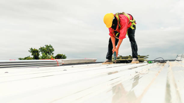 Roof Insulation Installation in Hooverson Heights, WV